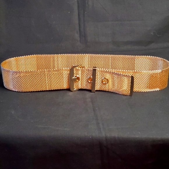 Goldtone Mesh Belt